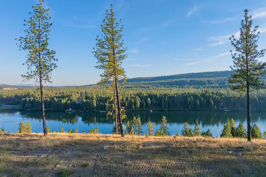 Lot 20 - View