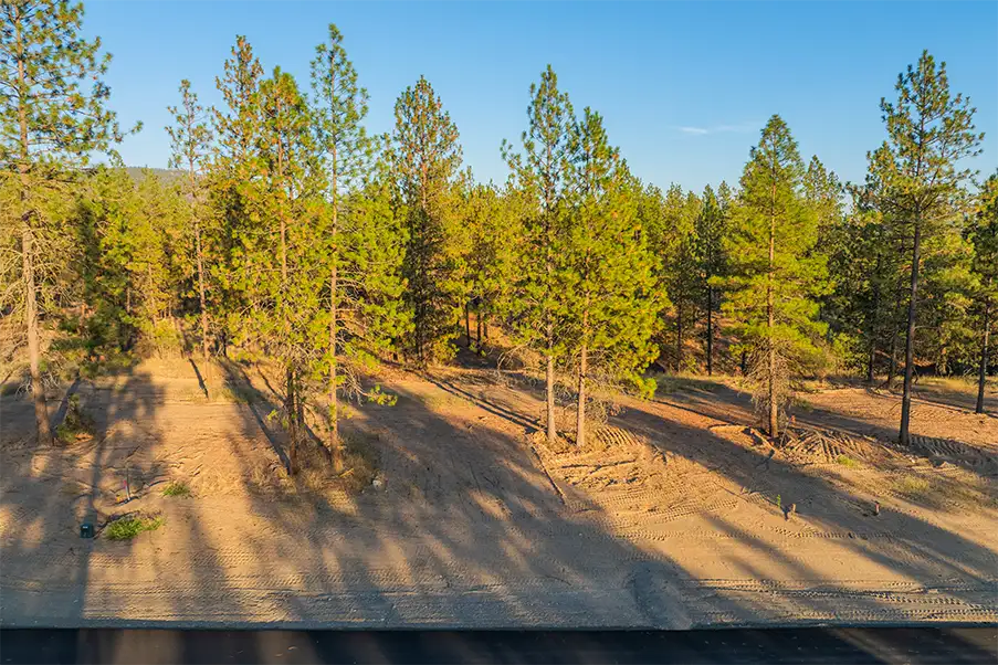 Lot 26 - View