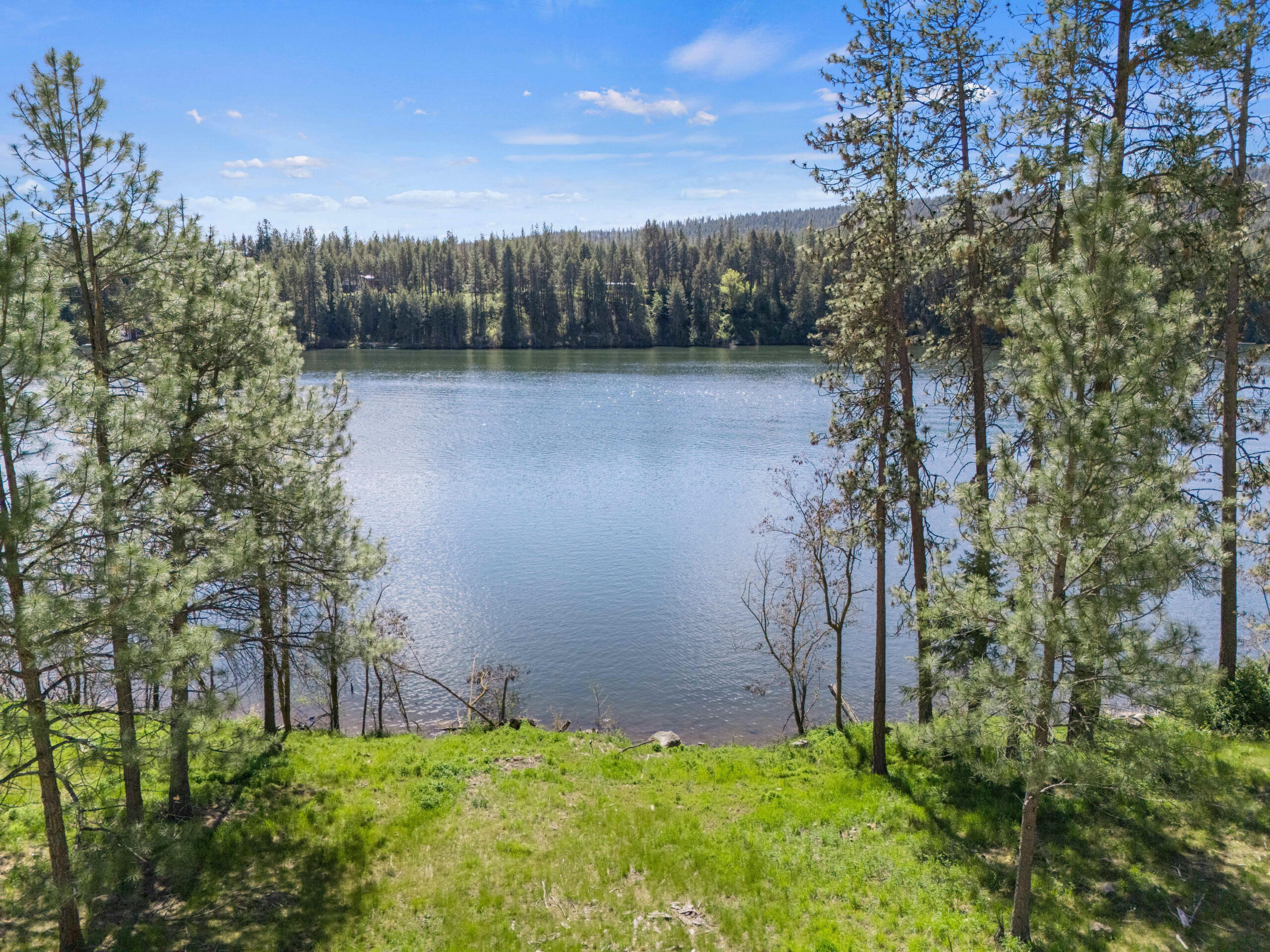 Lot 5 - View